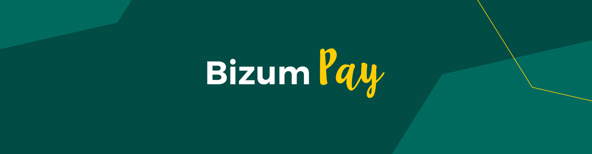 Descubre Bizum Pay, el nuevo wallet certificado